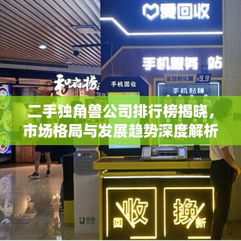 二手獨(dú)角獸公司排行榜揭曉，市場(chǎng)格局與發(fā)展趨勢(shì)深度解析