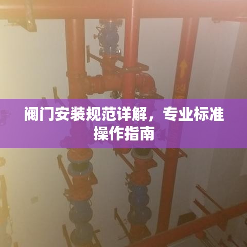 閥門安裝規(guī)范詳解，專業(yè)標(biāo)準(zhǔn)操作指南