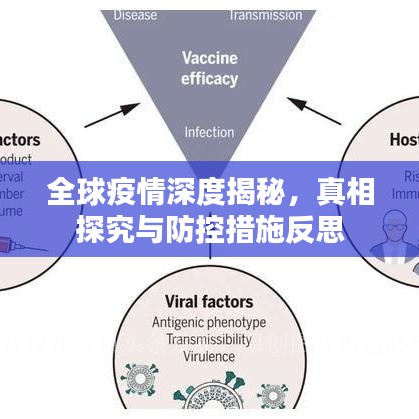 全球疫情深度揭秘，真相探究與防控措施反思
