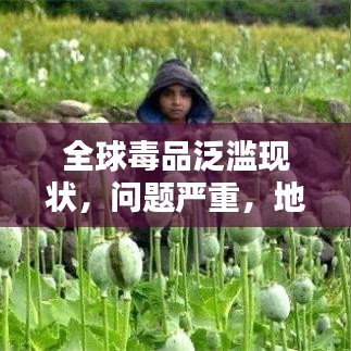 全球毒品泛濫現(xiàn)狀，問題嚴(yán)重，地區(qū)排名與治理挑戰(zhàn)