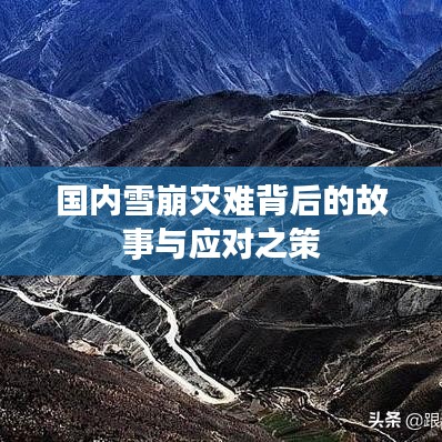 國內(nèi)雪崩災(zāi)難背后的故事與應(yīng)對之策