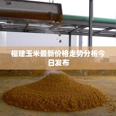福建玉米最新價(jià)格走勢(shì)分析今日發(fā)布