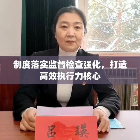 制度落實(shí)監(jiān)督檢查強(qiáng)化，打造高效執(zhí)行力核心