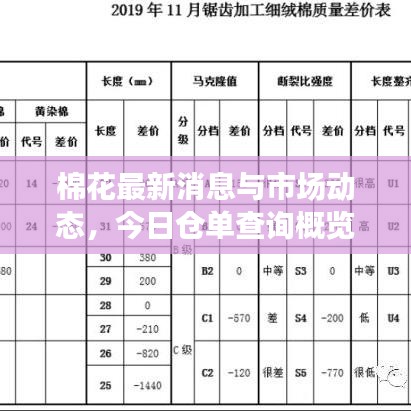 棉花最新消息與市場動態(tài)，今日倉單查詢概覽