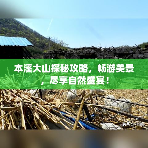 本溪大山探秘攻略，暢游美景，盡享自然盛宴！