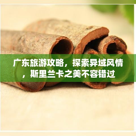 廣東旅游攻略，探索異域風情，斯里蘭卡之美不容錯過