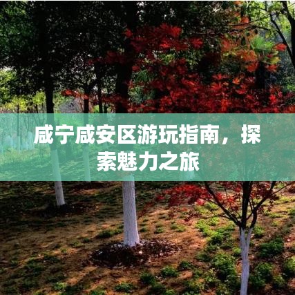 咸寧咸安區(qū)游玩指南，探索魅力之旅