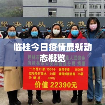 臨桂今日疫情最新動態(tài)概覽