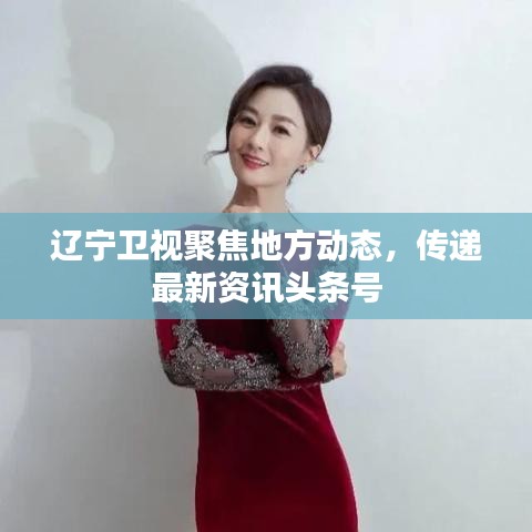 遼寧衛(wèi)視聚焦地方動(dòng)態(tài)，傳遞最新資訊頭條號(hào)