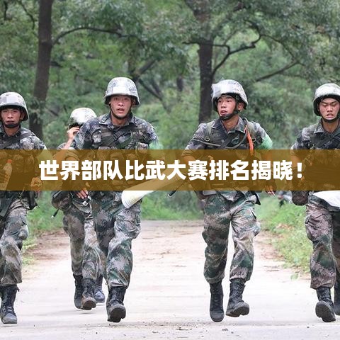 世界部隊(duì)比武大賽排名揭曉！