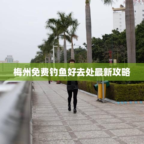 梅州免費(fèi)釣魚(yú)好去處最新攻略