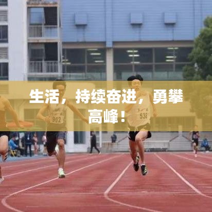 生活，持續(xù)奮進(jìn)，勇攀高峰！