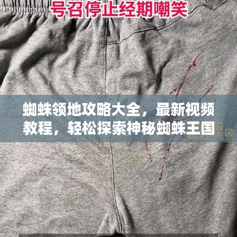 蜘蛛領(lǐng)地攻略大全，最新視頻教程，輕松探索神秘蜘蛛王國！