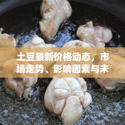 土豆最新價(jià)格動(dòng)態(tài)，市場(chǎng)走勢(shì)、影響因素與未來(lái)預(yù)測(cè)分析