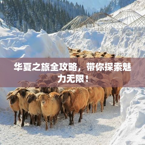 華夏之旅全攻略，帶你探索魅力無限！