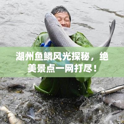 湖州魚鱗風(fēng)光探秘，絕美景點一網(wǎng)打盡！