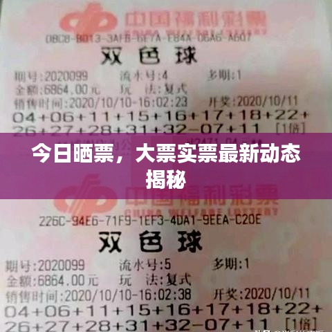 今日曬票，大票實(shí)票最新動態(tài)揭秘