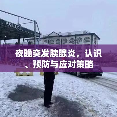 夜晚突發(fā)胰腺炎，認識、預(yù)防與應(yīng)對策略