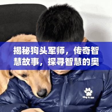 揭秘狗頭軍師，傳奇智慧故事，探尋智慧的奧秘