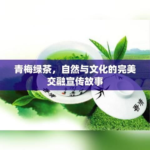 青梅綠茶，自然與文化的完美交融宣傳故事