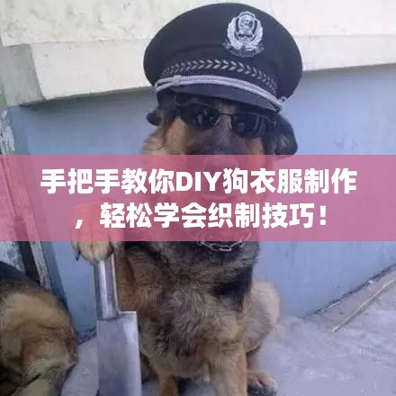 手把手教你DIY狗衣服制作，輕松學(xué)會(huì)織制技巧！