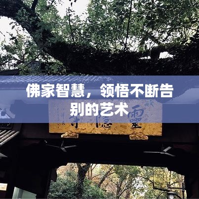 佛家智慧，領(lǐng)悟不斷告別的藝術(shù)