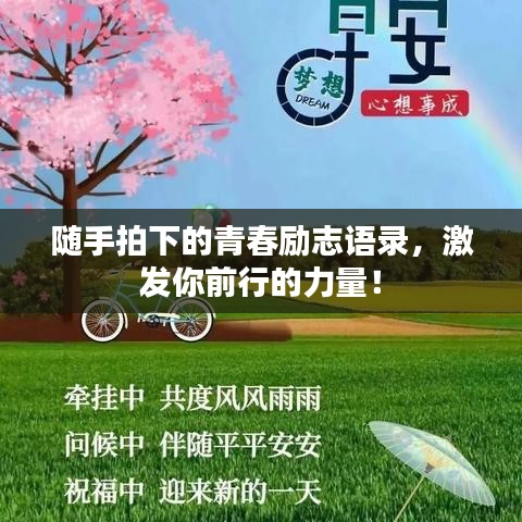 隨手拍下的青春勵志語錄，激發(fā)你前行的力量！