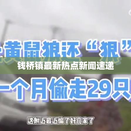 錢(qián)橋鎮(zhèn)最新熱點(diǎn)新聞速遞