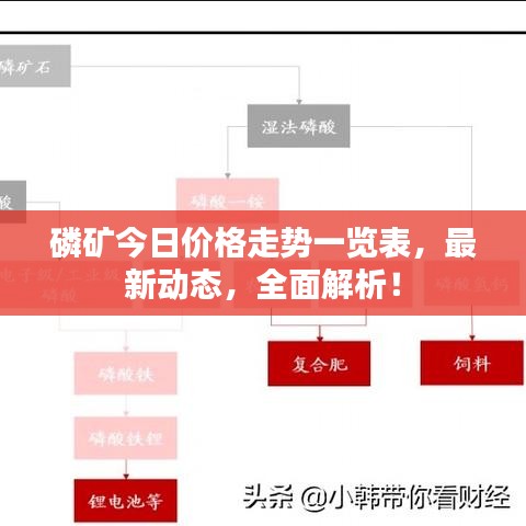 磷礦今日價(jià)格走勢(shì)一覽表，最新動(dòng)態(tài)，全面解析！