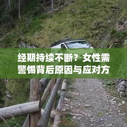 臼灶生蛙 第2頁