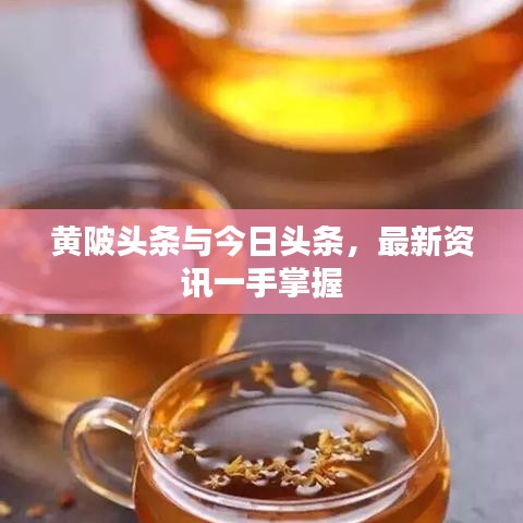 黃陂頭條與今日頭條，最新資訊一手掌握