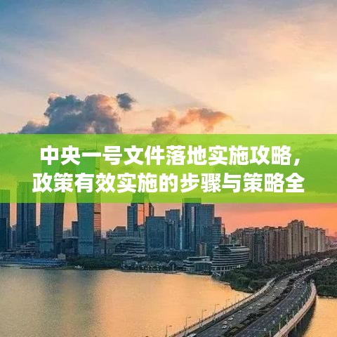 中央一號文件落地實施攻略，政策有效實施的步驟與策略全解析