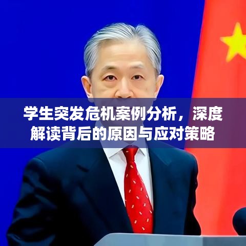 學(xué)生突發(fā)危機(jī)案例分析，深度解讀背后的原因與應(yīng)對策略
