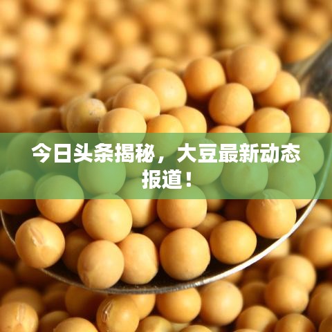 今日頭條揭秘，大豆最新動(dòng)態(tài)報(bào)道！