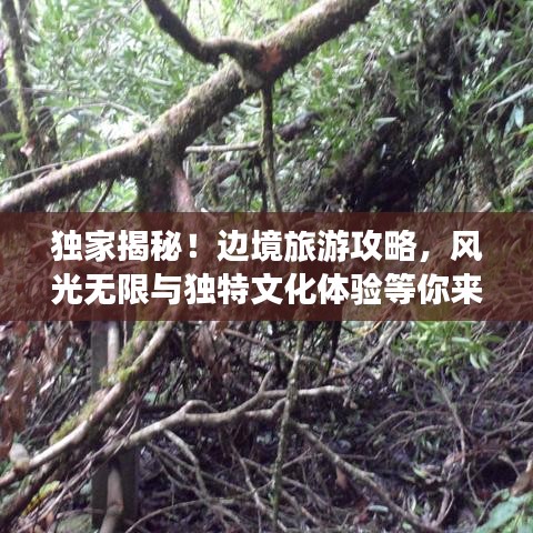 獨(dú)家揭秘！邊境旅游攻略，風(fēng)光無(wú)限與獨(dú)特文化體驗(yàn)等你來(lái)探秘！