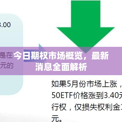 今日期權(quán)市場概覽，最新消息全面解析
