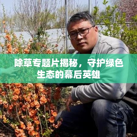 除草專題片揭秘，守護(hù)綠色生態(tài)的幕后英雄
