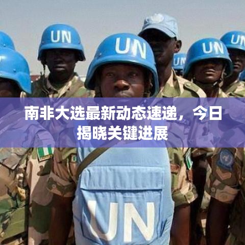 南非大選最新動態(tài)速遞，今日揭曉關(guān)鍵進(jìn)展