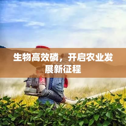 生物高效磷，開啟農(nóng)業(yè)發(fā)展新征程