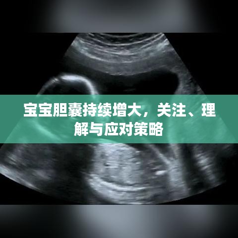 寶寶膽囊持續(xù)增大，關(guān)注、理解與應(yīng)對(duì)策略