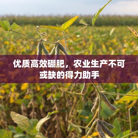 優(yōu)質(zhì)高效硼肥，農(nóng)業(yè)生產(chǎn)不可或缺的得力助手