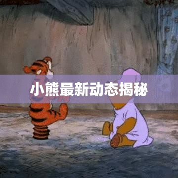 小熊最新動態(tài)揭秘