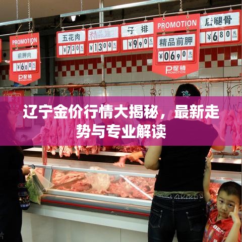 遼寧金價(jià)行情大揭秘，最新走勢(shì)與專(zhuān)業(yè)解讀