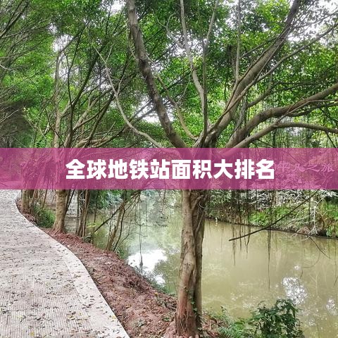 全球地鐵站面積大排名