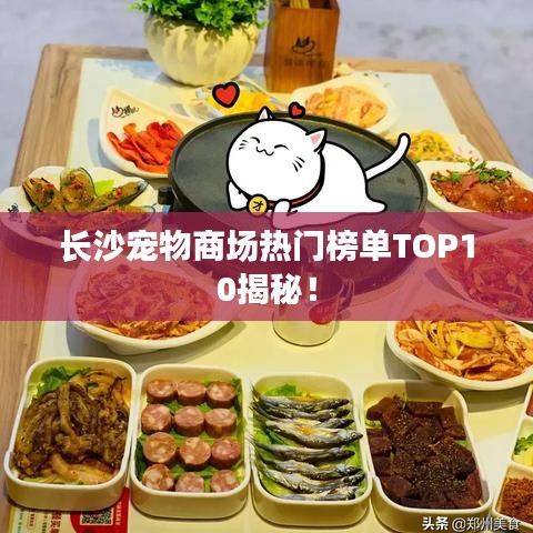 長(zhǎng)沙寵物商場(chǎng)熱門榜單TOP10揭秘！