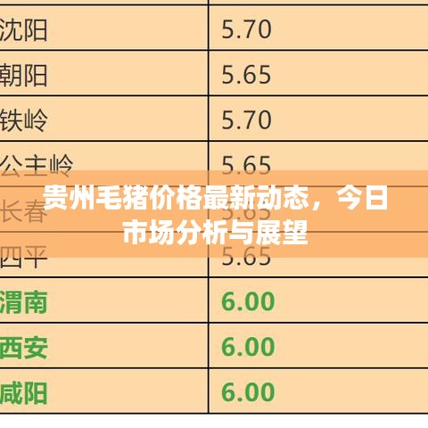 貴州毛豬價格最新動態(tài)，今日市場分析與展望
