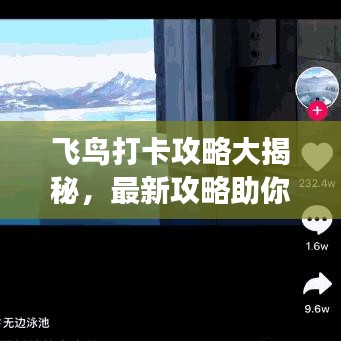 飛鳥打卡攻略大揭秘，最新攻略助你暢游天際！