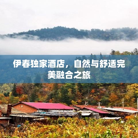 伊春獨家酒店，自然與舒適完美融合之旅