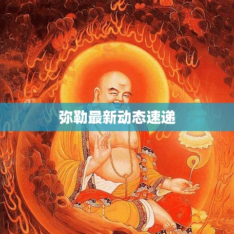 彌勒最新動態(tài)速遞