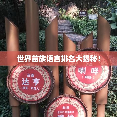 世界苗族語(yǔ)言排名大揭秘！